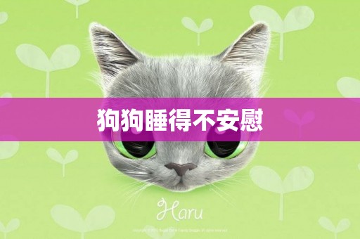狗狗睡得不安慰