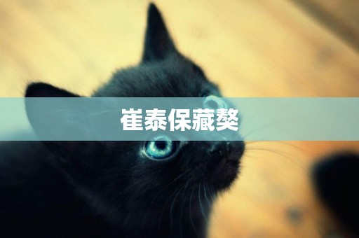崔泰保藏獒