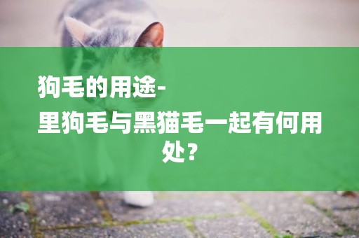 狗毛的用途-
里狗毛與黑貓毛一起有何用處？