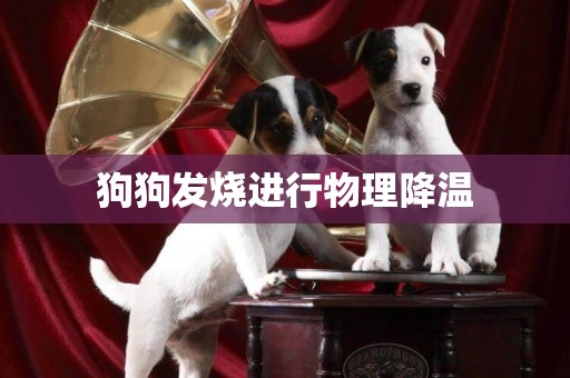 狗狗發燒進行物理降溫