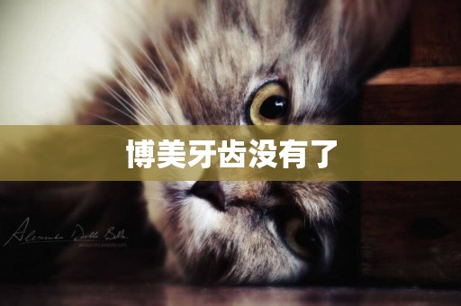 博美牙齒沒有了