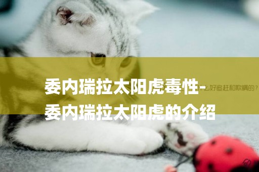 委內瑞拉太陽虎毒性-
委內瑞拉太陽虎的介紹