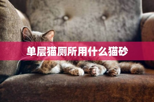 單層貓廁所用什么貓砂