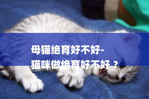 母貓絕育好不好-
貓咪做絕育好不好 ？