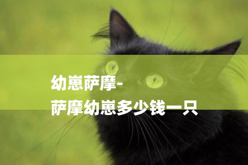 幼崽薩摩-
薩摩幼崽多少錢一只