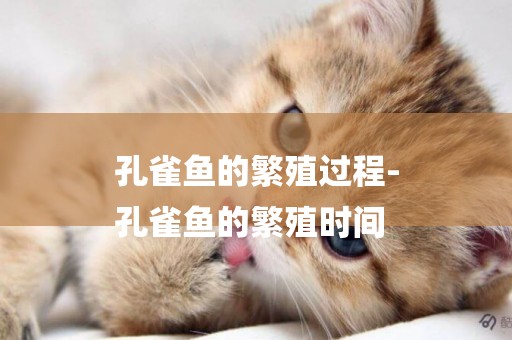 孔雀魚的繁殖過程-
孔雀魚的繁殖時間