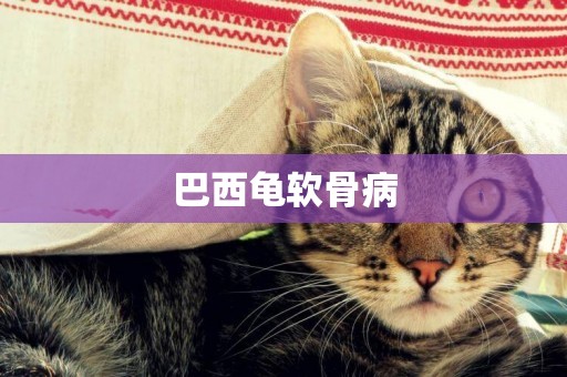 巴西龜軟骨病