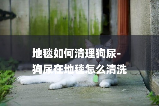 地毯如何清理狗尿-
狗尿在地毯怎么清洗