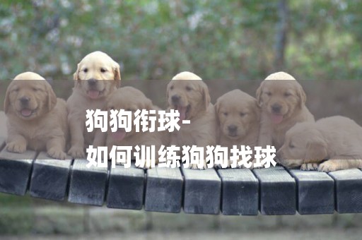 狗狗銜球-
如何訓練狗狗找球