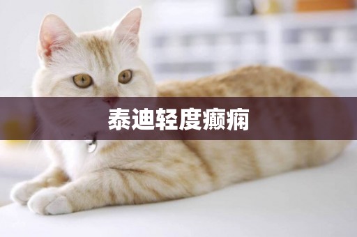 泰迪輕度癲癇