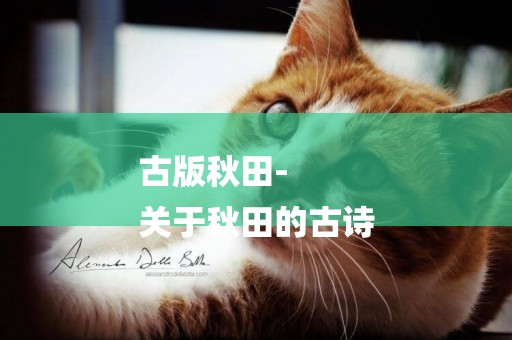 古版秋田-
關于秋田的古詩
