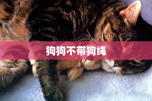 狗狗不帶狗繩