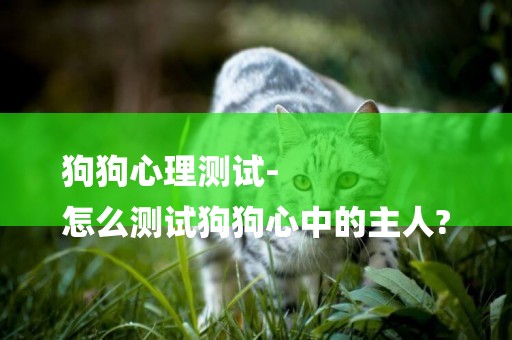 狗狗心理測試-
怎么測試狗狗心中的主人?