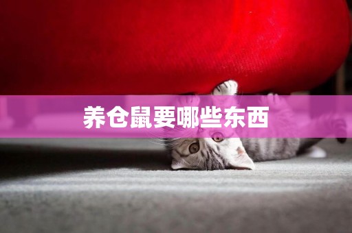 養倉鼠要哪些東西