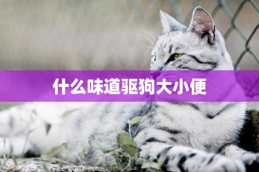 什么味道驅狗大小便