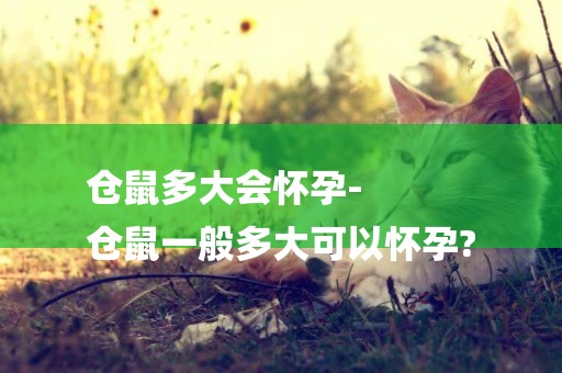 倉鼠多大會懷孕-
倉鼠一般多大可以懷孕?