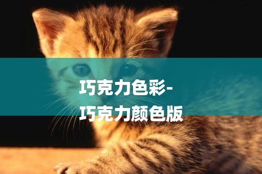 巧克力色彩-
巧克力顏色版