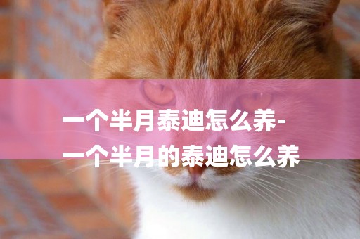 一個半月泰迪怎么養-
一個半月的泰迪怎么養
