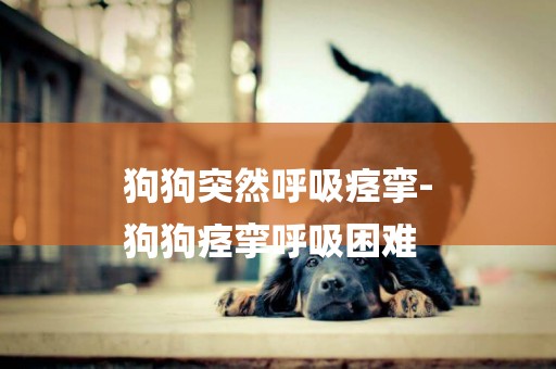 狗狗突然呼吸痙攣-
狗狗痙攣呼吸困難
