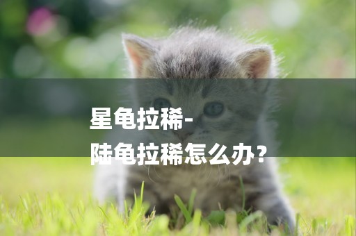 星龜拉稀-
陸龜拉稀怎么辦？