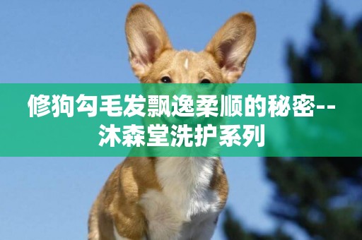 修狗勾毛發飄逸柔順的秘密--沐森堂洗護系列