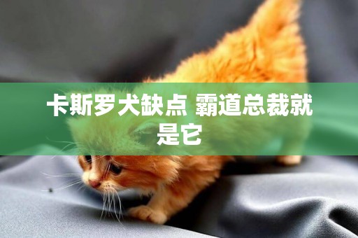 卡斯羅犬缺點 霸道總裁就是它