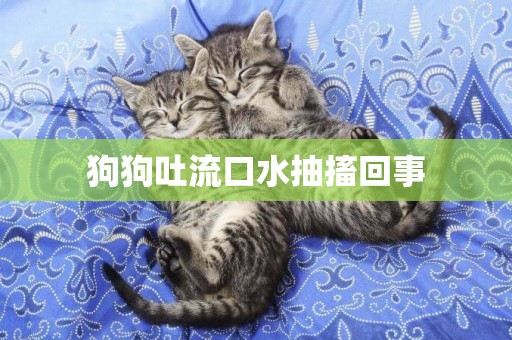 狗狗吐流口水抽搐回事