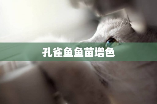 孔雀魚魚苗增色