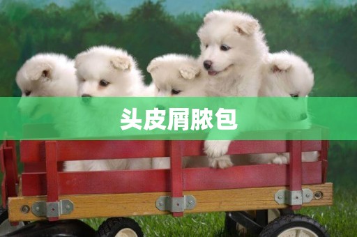 頭皮屑膿包