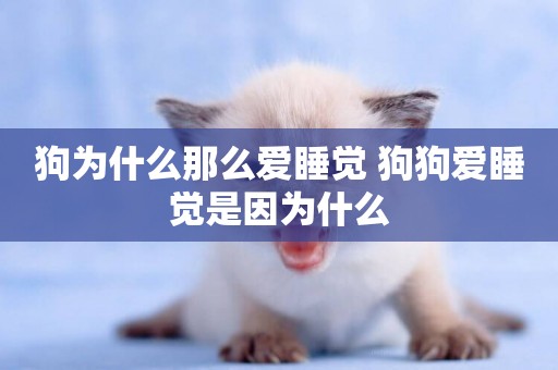 狗為什么那么愛睡覺 狗狗愛睡覺是因為什么