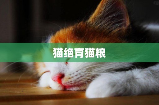 貓絕育貓糧