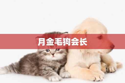 月金毛狗會長