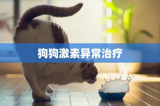 狗狗激素異常治療
