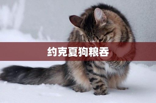 約克夏狗糧吞