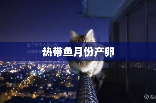 熱帶魚月份產卵