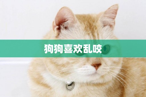 狗狗喜歡亂咬