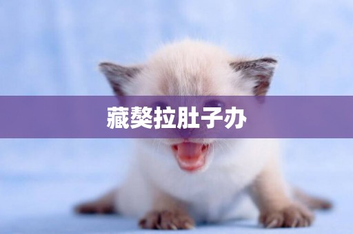 藏獒拉肚子辦