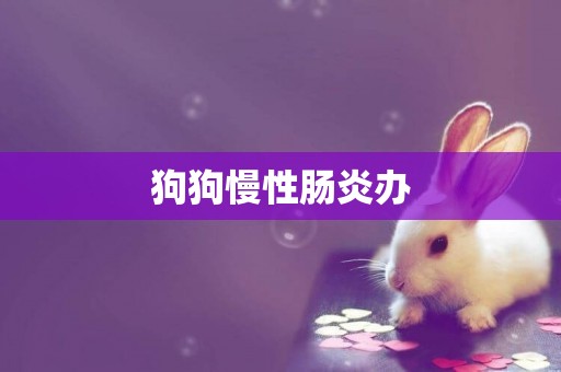 狗狗慢性腸炎辦