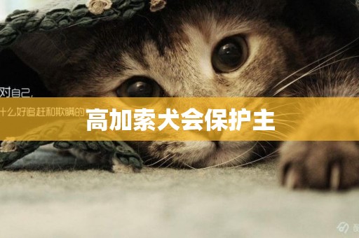 高加索犬會保護主