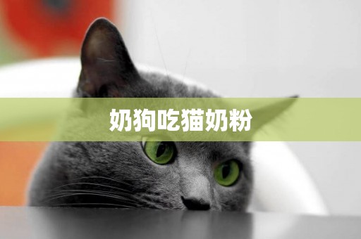 奶狗吃貓奶粉