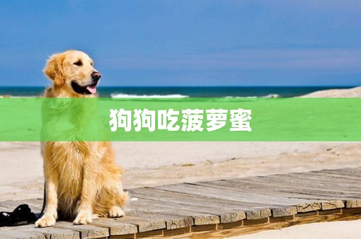 狗狗吃菠蘿蜜