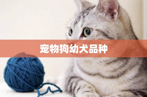 寵物狗幼犬品種