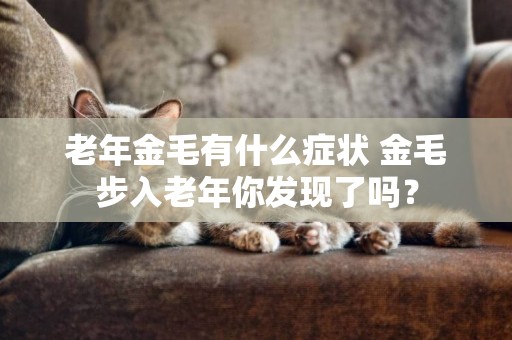 老年金毛有什么癥狀 金毛步入老年你發現了嗎？