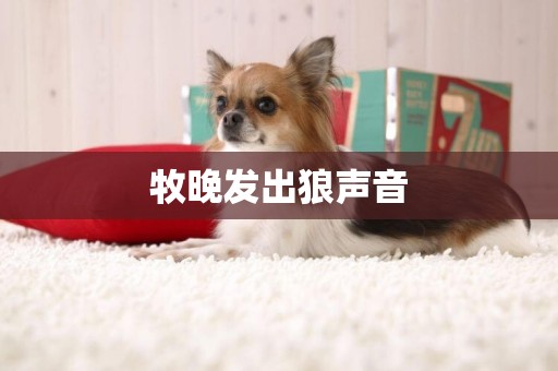 牧晚發出狼聲音