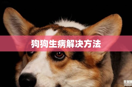 狗狗生病解決方法