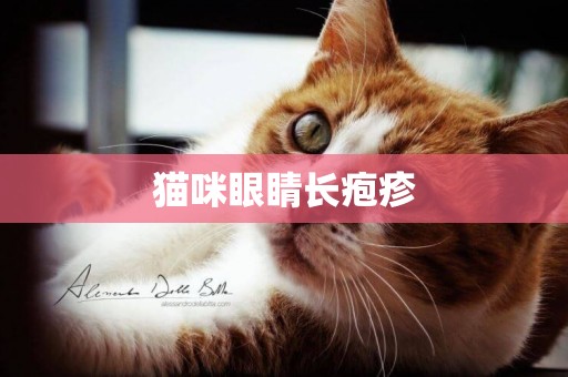 貓咪眼睛長皰疹