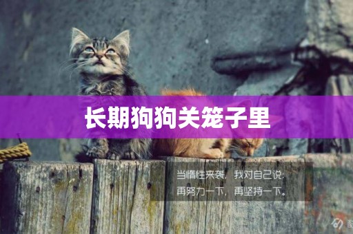 長期狗狗關籠子里
