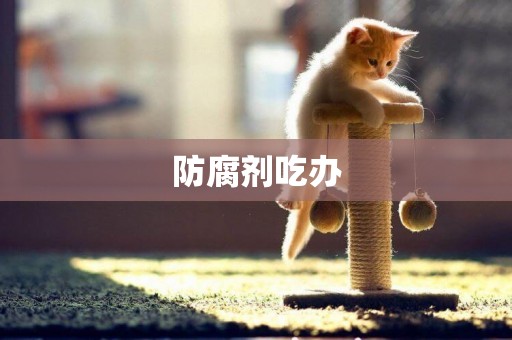 防腐劑吃辦