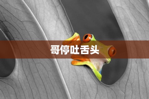 哥停吐舌頭