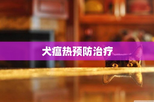 犬瘟熱預防治療